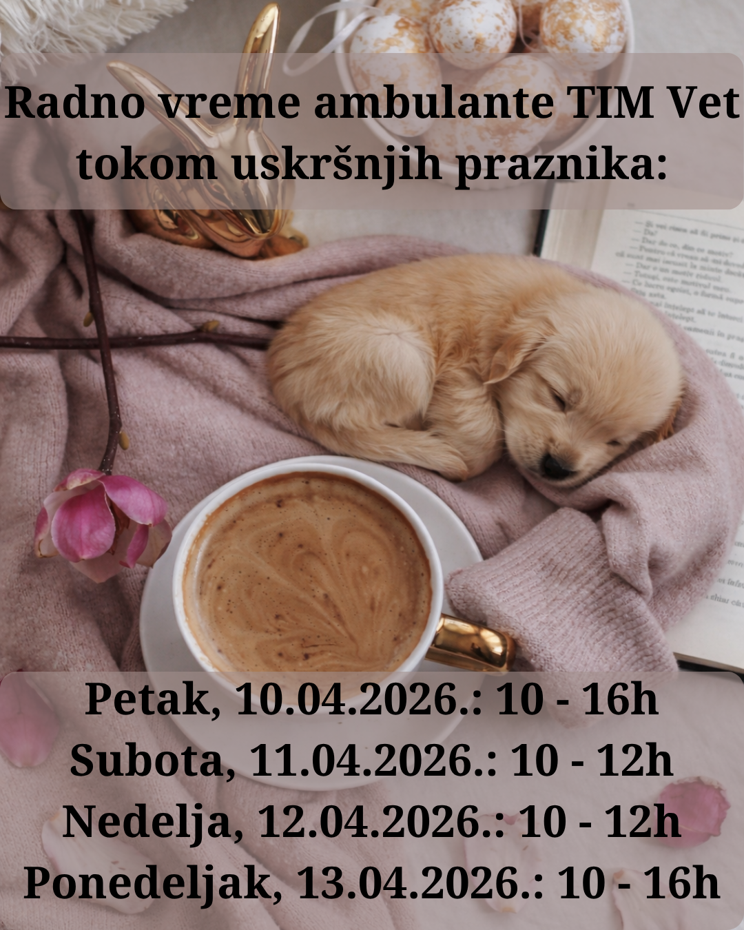 RADNO VREME AMBULANTE TOKOM USKRŠNJIH PRAZNIKA 2026.